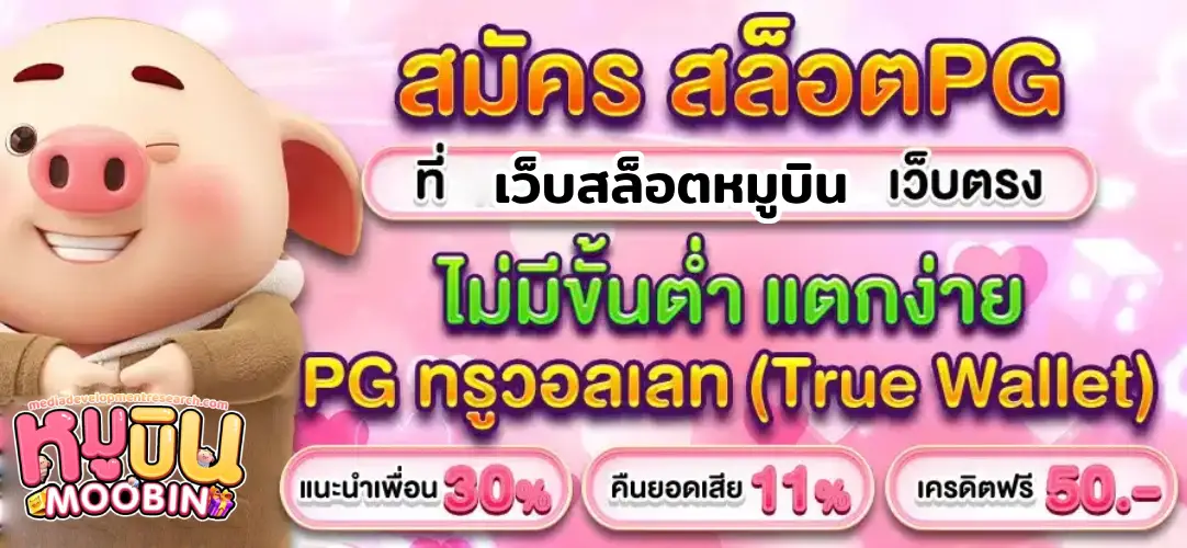 เว็บสล็อตหมูบิน
